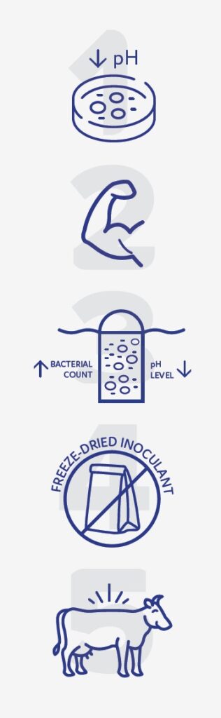 Inoculant Process