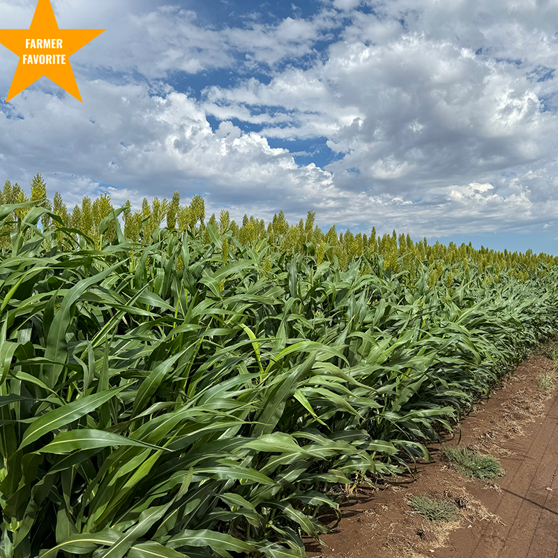 Ultra Silage